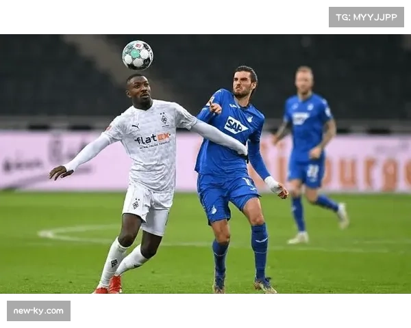 霍芬海姆签下中卫卡巴克 期待发挥定位球防守价值